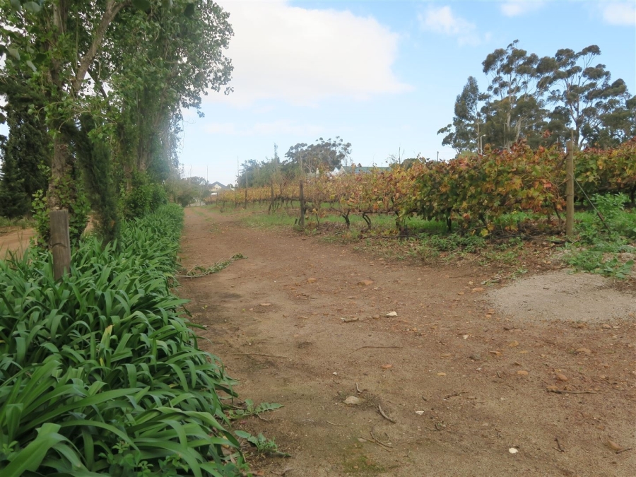 0 Bedroom Property for Sale in Bot River Western Cape